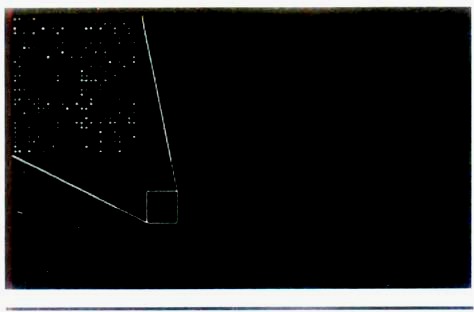 Example of an approximately 40,000 probe spotted oligo microarray with enlarge inset to show in details