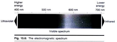 Electromagnetic Spectrum