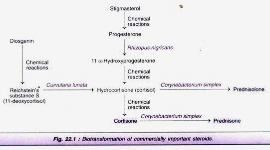 Various approaches of producing transgenic animals