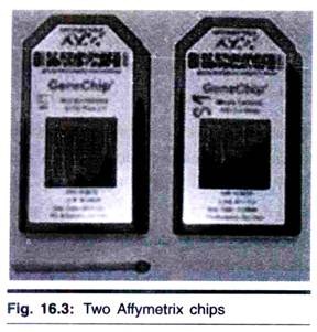 Two Affymetrix Chips