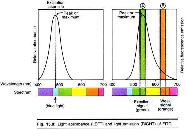 Light Absorbance and Light Emission