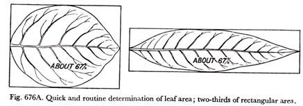 Quick and routine determination of leaf are; two-thrids of rectangular area