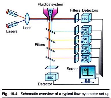 Typical Flow Cytometer Set-Up