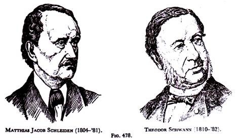 Matthias Jacob Schleiden and Theodor Schwann