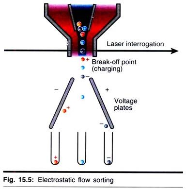 Electrostatic Flow Sorting