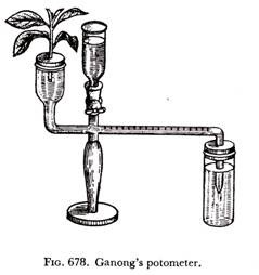 Ganong's potometer