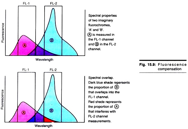 Fluorescence Compensation