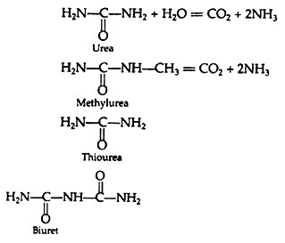 Endotrophic Mycorrhiza