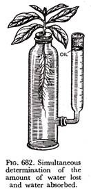 Simultaneous determination of the amount of water lost and water absorbed