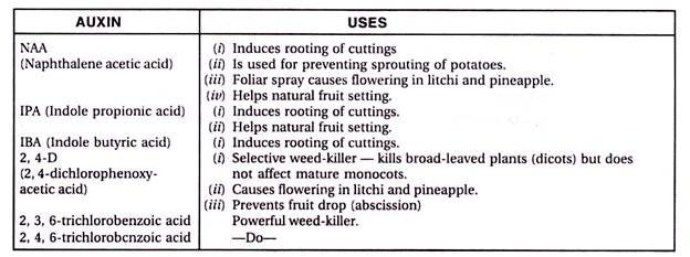 Auxin and its Uses