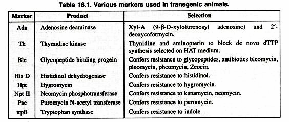 Various markers used in transgenic animals