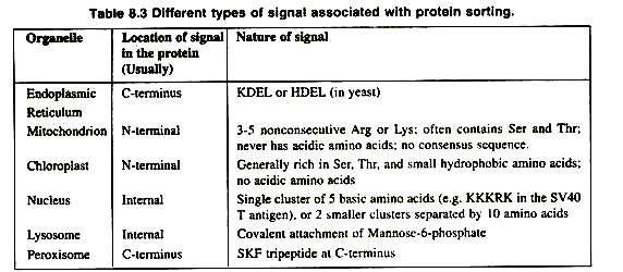 Different Types of signal associated with protein sorting