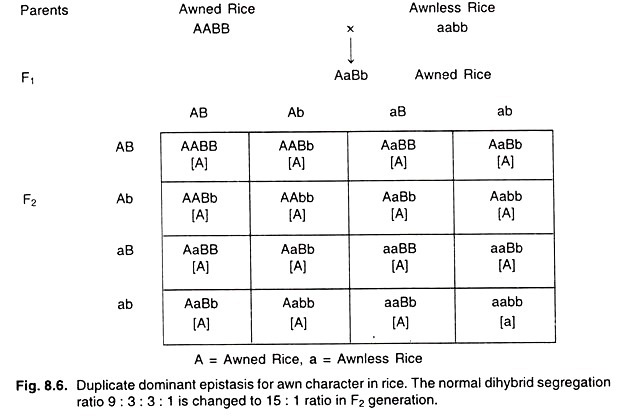 Molecular Events