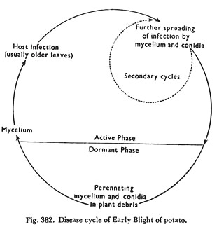 Comparison of different Adrenergic Receptors