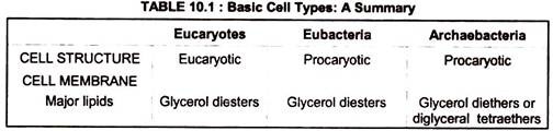 Basic Cell Types