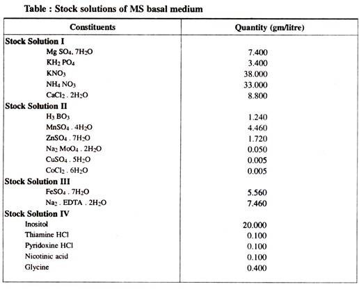 Stock Solution of MS Basal Medium