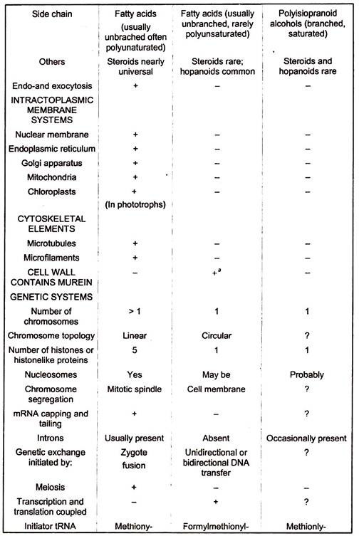 Basic Cell Types