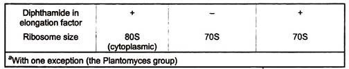 Basic Cell Types