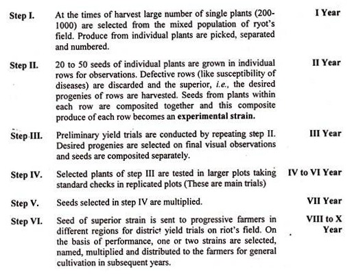 Production of veriety by pure line selection in cross pollinated crop