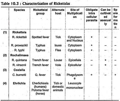 Characterization of Rickettsias