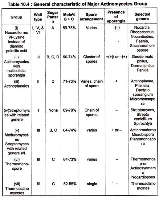 Major Actinomycetes Group