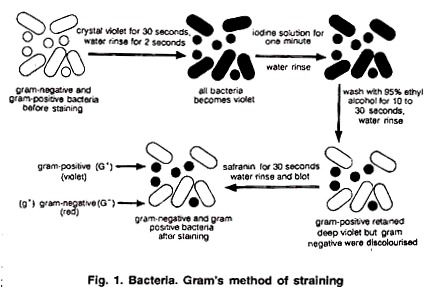 Gram's Method of Straining