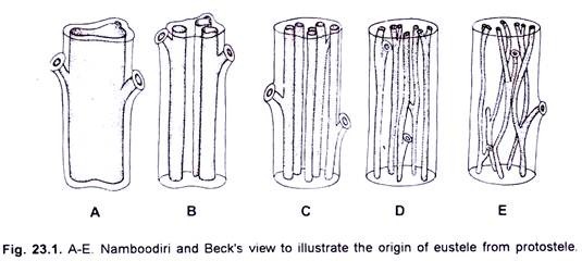 Namboodiri and Beck's