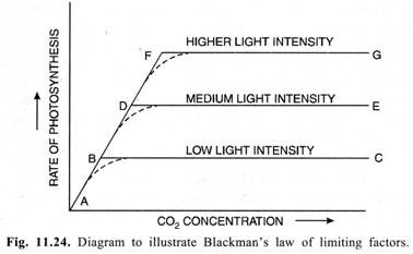 Diagram to illustrate Blackman's law of limiting factors