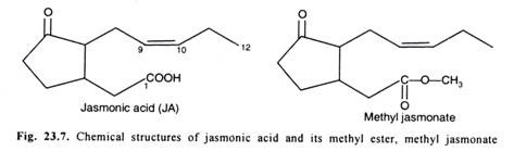 Chemical structures of jasmonic acid