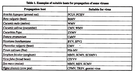 Hosts for Propagation of Some Viruses