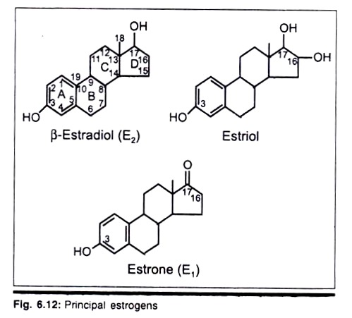 Principal Estrogens