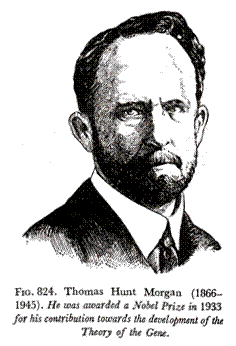 Thomas Hunt Morgan