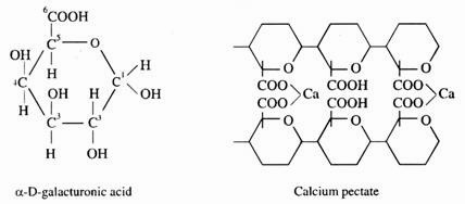 D-galacturonicc acid and Calcium pectate