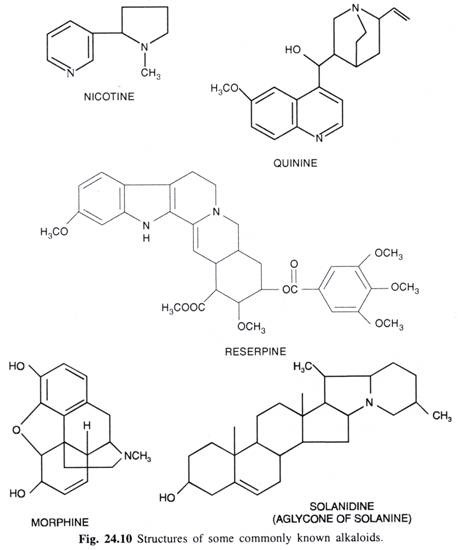 Structure of some commonly known alkaloids