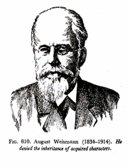 August Weismann