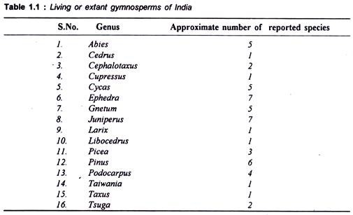 Living or Extant Gymnosperms of India