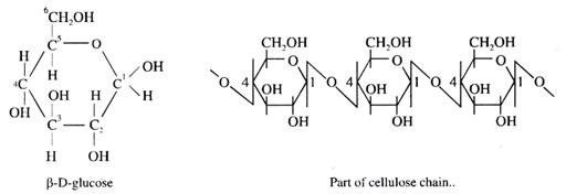 D-glucose and Part of cellulose chain