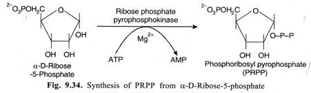 Synthesis of PRPP