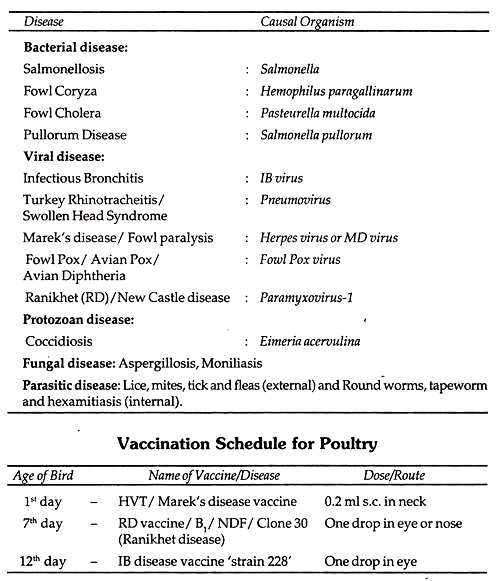 Disease and Causal Organism