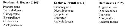 Benthan & Hokker, Engler & Prantl and Hutchinson