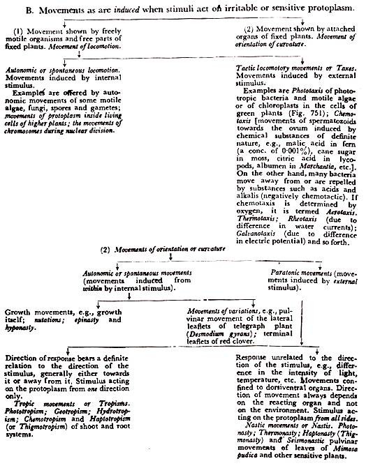 Movements as are induced when stimuli act on irritable or sensitive protoplasm