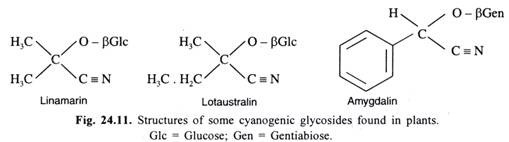 Structures of some cyanogenic glycosides found in plants