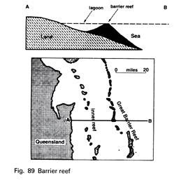 Barrier Reef