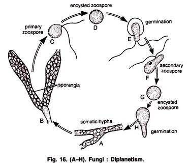 Diplanetism