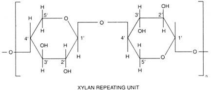 Xylan repeating unit