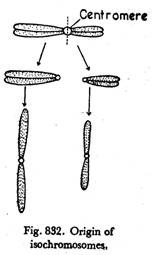 Origin of isochromosomes