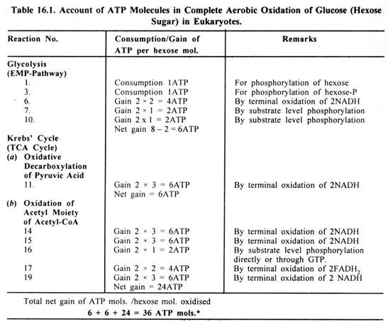 Account of ATP Molecules