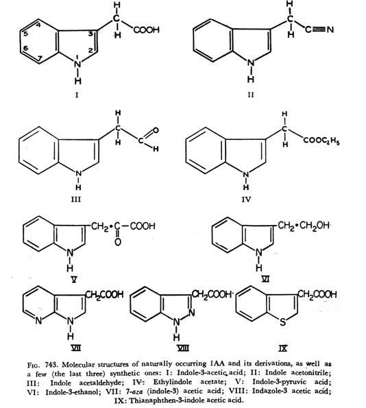 Molecular structures of naturally occurring