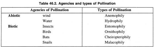 Agencies and types of pollination