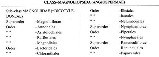 Class-Magnoliopsida